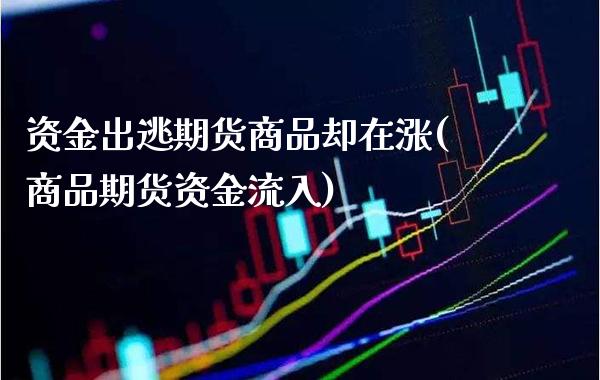 资金出逃期货商品却在涨(商品期货资金流入) 内盘期货 第1张-爱新财经 资金出逃期货商品却在涨(商品期货资金流入) (https://www.njaxzs.com/) 内盘期货 第1张