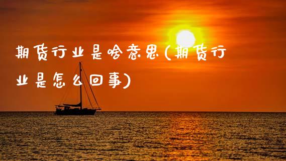 期货行业是啥意思(期货行业是怎么回事) (https://www.njaxzs.com/) 期货行情 第1张