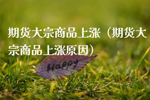 期货大宗商品上涨（期货大宗商品上涨原因） (https://www.njaxzs.com/) 黄金期货 第1张