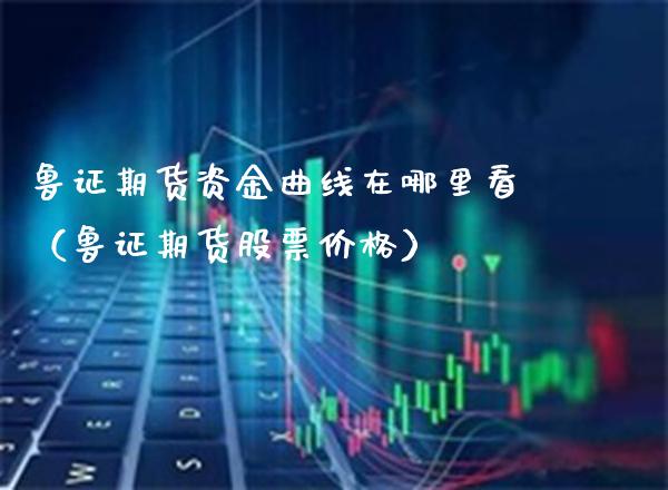 鲁证期货资金曲线在哪里看（鲁证期货股票） (https://www.njaxzs.com/) 期货直播间 第1张