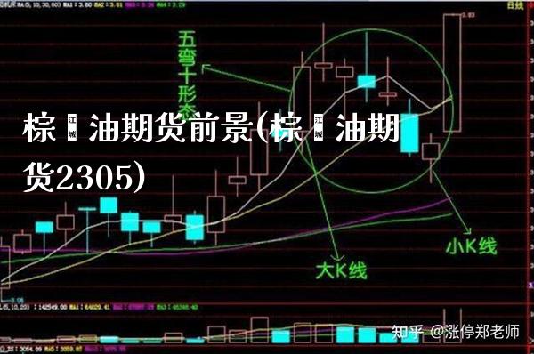 棕榈油期货前景(棕榈油期货2305) (https://www.njaxzs.com/) 原油期货 第1张