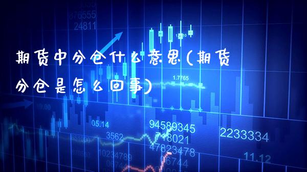 期货中分仓什么意思(期货分仓是怎么回事) (https://www.njaxzs.com/) 内盘期货 第1张