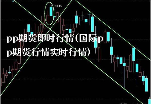 pp期货即时行情(国际pp期货行情实时行情) 期货投资 第1张-爱新财经 pp期货即时行情(国际pp期货行情实时行情) (https://www.njaxzs.com/) 期货投资 第1张