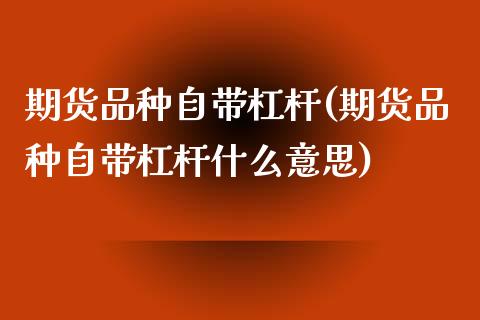 期货品种自带杠杆(期货品种自带杠杆什么意思) (https://www.njaxzs.com/) 原油期货 第1张