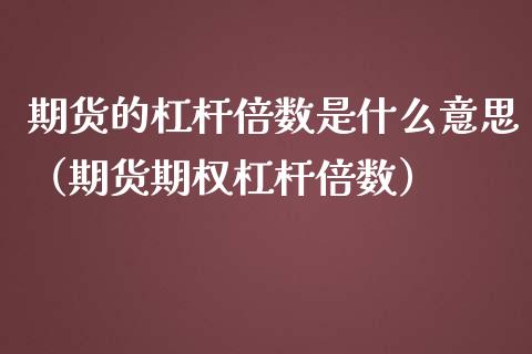 期货的杠杆倍数是什么意思（期货期权杠杆倍数） (https://www.njaxzs.com/) 期货直播间 第1张