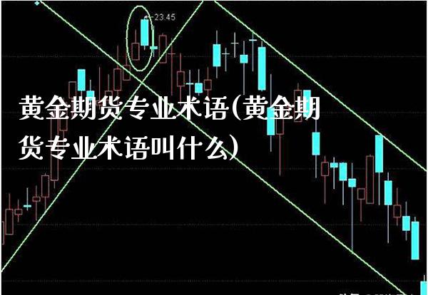 黄金期货专业术语(黄金期货专业术语叫什么) (https://www.njaxzs.com/) 期货直播间 第1张