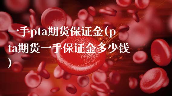 一手pta期货保证金(pta期货一手保证金多少钱) (https://www.njaxzs.com/) 期货直播间 第1张