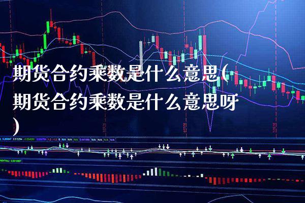 期货合约乘数是什么意思(期货合约乘数是什么意思呀) (https://www.njaxzs.com/) 黄金期货 第1张