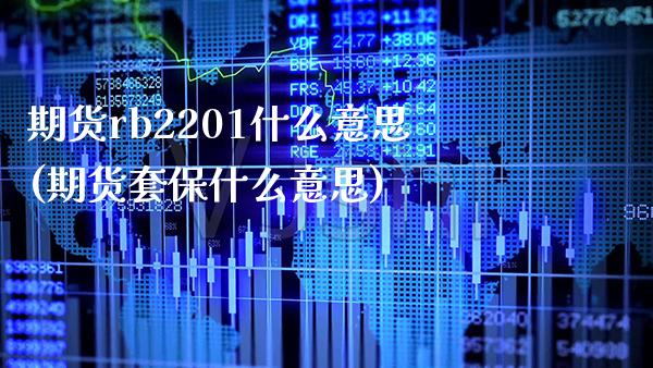 期货rb2201什么意思(期货套保什么意思) (https://www.njaxzs.com/) 期货投资 第1张