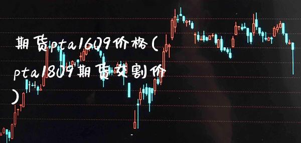 期货pta1609价格(pta1809期货交割价) (https://www.njaxzs.com/) 期货直播间 第1张