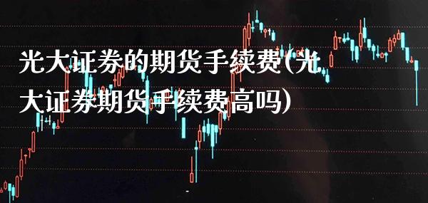 光大证券的期货手续费(光大证券期货手续费高吗) 期货投资 第1张-爱新财经 光大证券的期货手续费(光大证券期货手续费高吗) (https://www.njaxzs.com/) 期货投资 第1张