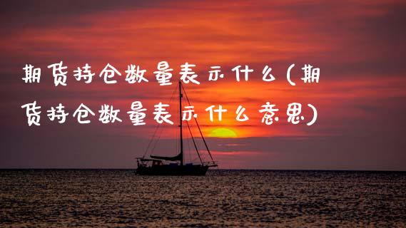 期货持仓数量表示什么(期货持仓数量表示什么意思) (https://www.njaxzs.com/) 原油期货 第1张
