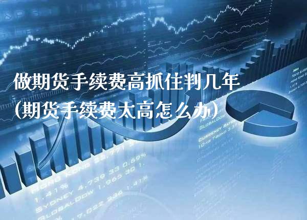 做期货手续费高抓住判几年(期货手续费太高怎么办) 期货直播间 第1张-爱新财经 做期货手续费高抓住判几年(期货手续费太高怎么办) (https://www.njaxzs.com/) 期货直播间 第1张