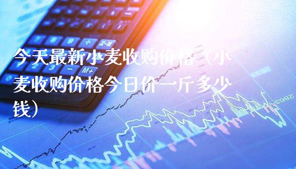 今天最新小麦收购（小麦收购今日价一斤多少钱） (https://www.njaxzs.com/) 黄金期货 第1张