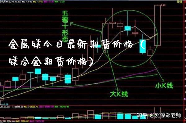 金属镁今日最新期货（镁合金期货） (https://www.njaxzs.com/) 黄金期货 第1张