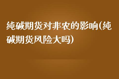 纯碱期货对非农的影响(纯碱期货风险大吗) (https://www.njaxzs.com/) 内盘期货 第1张
