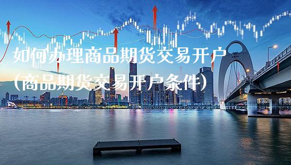 如何办理商品期货交易开户(商品期货交易开户条件) (https://www.njaxzs.com/) 原油期货 第1张