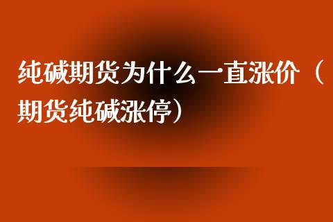 纯碱期货为什么一直涨价（期货纯碱涨停） (https://www.njaxzs.com/) 内盘期货 第1张