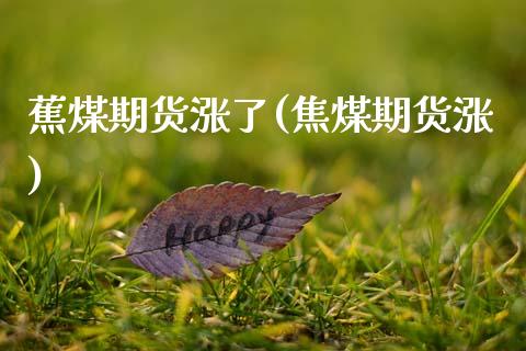 蕉煤期货涨了(焦煤期货涨) (https://www.njaxzs.com/) 期货行情 第1张