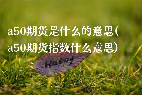 a50期货是什么的意思(a50期货指数什么意思) (https://www.njaxzs.com/) 黄金期货 第1张