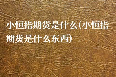 小恒指期货是什么(小恒指期货是什么东西) 期货直播间 第1张-爱新财经 小恒指期货是什么(小恒指期货是什么东西) (https://www.njaxzs.com/) 期货直播间 第1张