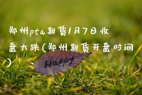 郑州pta期货1月7日收盘大跌(郑州期货开盘时间) (https://www.njaxzs.com/) 期货开户 第1张