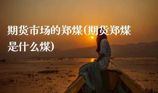 期货市场的郑煤(期货郑煤是什么煤) (https://www.njaxzs.com/) 期货直播间 第1张