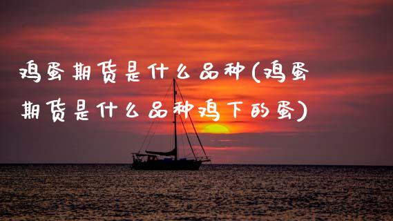 鸡蛋期货是什么品种(鸡蛋期货是什么品种鸡下的蛋) (https://www.njaxzs.com/) 期货直播间 第1张