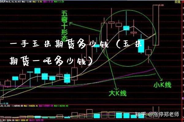 一手玉米期货多少钱（玉米期货一多少钱） (https://www.njaxzs.com/) 内盘期货 第1张