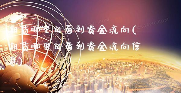 期货哪里能看到资金流向(期货哪里能看到资金流向信息) (https://www.njaxzs.com/) 期货直播间 第1张