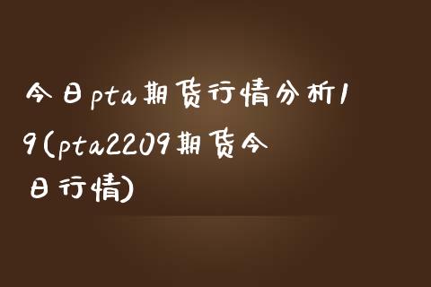 今日pta期货行情分析19(pta2209期货今日行情) (https://www.njaxzs.com/) 内盘期货 第1张