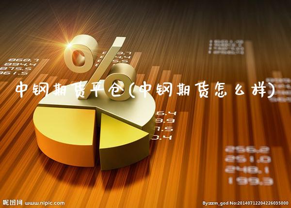 中钢期货平仓(中钢期货怎么样) (https://www.njaxzs.com/) 原油期货 第1张