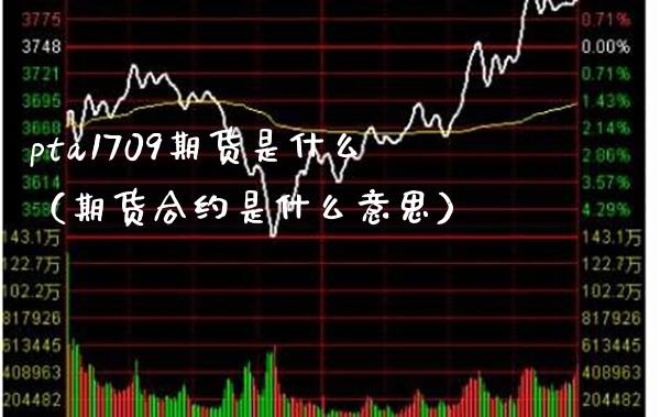 pta1709期货是什么（期货合约是什么意思） (https://www.njaxzs.com/) 期货行情 第1张