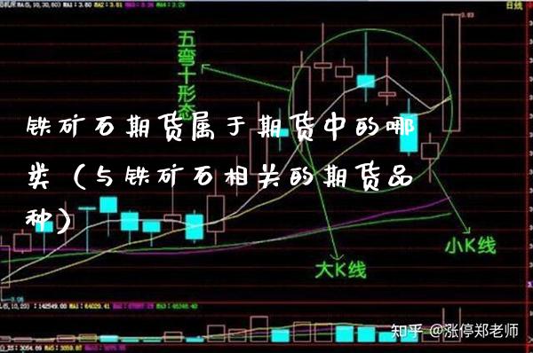 铁矿石期货属于期货中的哪类（与铁矿石相关的期货品种） (https://www.njaxzs.com/) 内盘期货 第1张