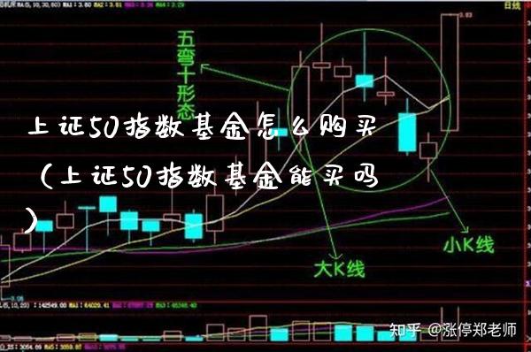 上证50指数基金怎么购买（上证50指数基金能买吗） (https://www.njaxzs.com/) 期货直播间 第1张