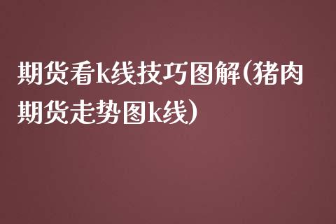 期货看k线技巧图解(猪肉期货走势图k线) (https://www.njaxzs.com/) 期货直播间 第1张
