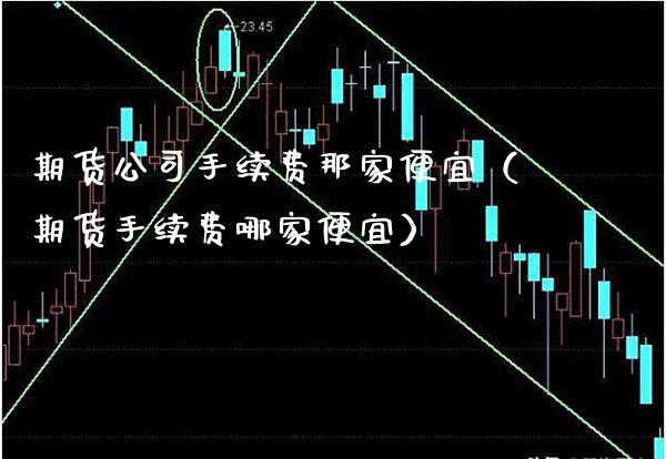 期货公司手续费那家便宜（期货手续费哪家便宜） (https://www.njaxzs.com/) 期货直播间 第1张