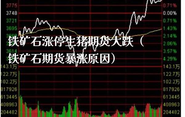 铁矿石涨停生猪期货大跌（铁矿石期货暴涨原因） (https://www.njaxzs.com/) 期货直播间 第1张