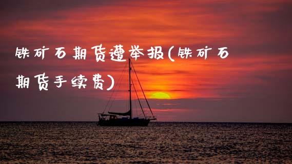 铁矿石期货遭举报(铁矿石期货手续费) (https://www.njaxzs.com/) 期货直播间 第1张