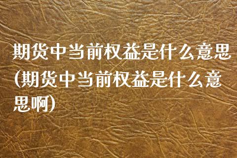 期货中当前权益是什么意思(期货中当前权益是什么意思啊) (https://www.njaxzs.com/) 黄金期货 第1张