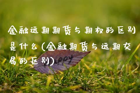 金融远期期货与期权的区别是什么(金融期货与远期交易的区别) (https://www.njaxzs.com/) 期货投资 第1张
