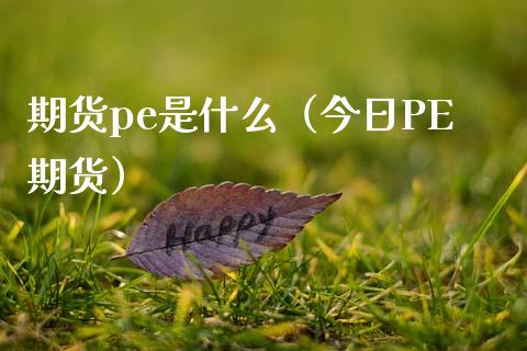 期货pe是什么（今日PE期货） (https://www.njaxzs.com/) 期货直播间 第1张