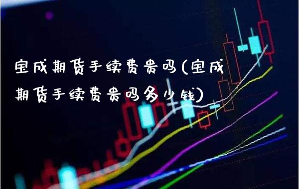 宝成期货手续费贵吗(宝成期货手续费贵吗多少钱) (https://www.njaxzs.com/) 期货直播间 第1张