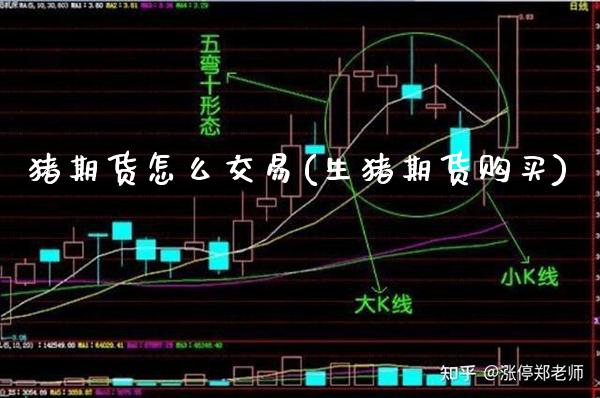 猪期货怎么交易(生猪期货购买) (https://www.njaxzs.com/) 期货直播间 第1张