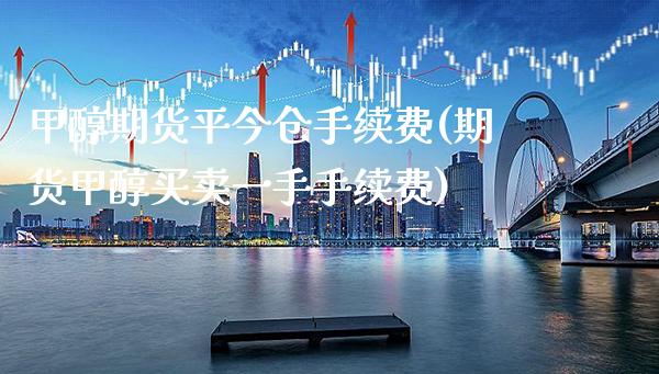 甲醇期货平今仓手续费(期货甲醇买卖一手手续费) (https://www.njaxzs.com/) 原油期货 第1张
