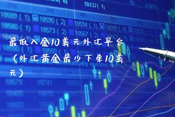 最低入金10美元外汇平台（外汇黄金最少下单10美元） (https://www.njaxzs.com/) 期货行情 第1张