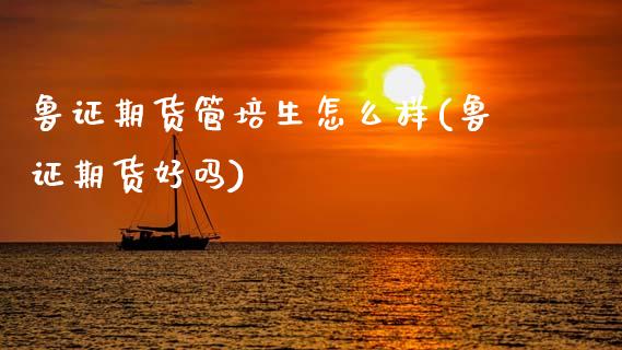 鲁证期货管培生怎么样(鲁证期货好吗) (https://www.njaxzs.com/) 期货投资 第1张