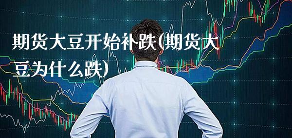 期货大豆开始补跌(期货大豆为什么跌) (https://www.njaxzs.com/) 黄金期货 第1张