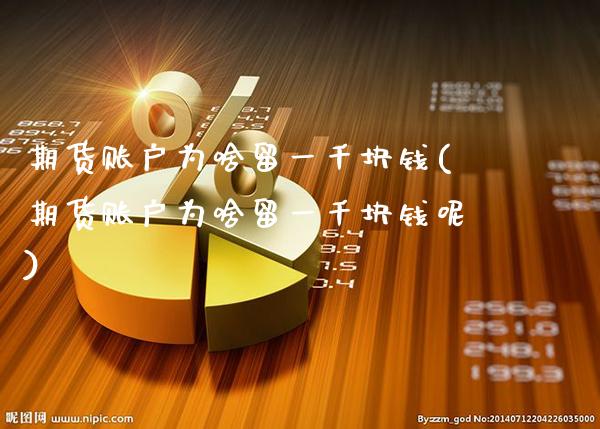 期货账户为啥留一千块钱(期货账户为啥留一千块钱呢) (https://www.njaxzs.com/) 期货行情 第1张