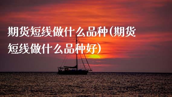 期货短线做什么品种(期货短线做什么品种好) (https://www.njaxzs.com/) 期货直播间 第1张